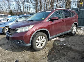  Salvage Honda Crv