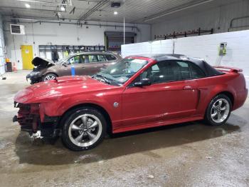  Salvage Ford Mustang