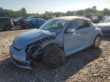  Salvage Volkswagen Beetle