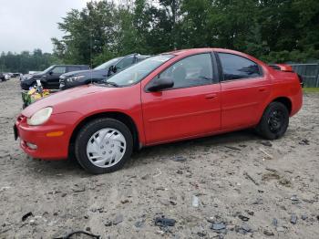  Salvage Dodge Neon