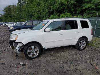  Salvage Honda Pilot