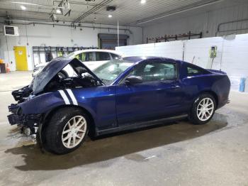  Salvage Ford Mustang