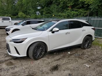  Salvage Lexus RX