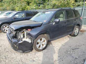  Salvage Subaru Forester