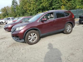  Salvage Honda Crv