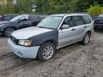  Salvage Subaru Forester