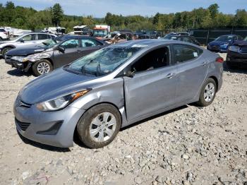  Salvage Hyundai ELANTRA