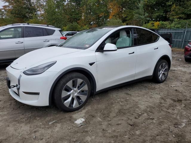  Salvage Tesla Model Y