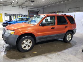  Salvage Ford Escape