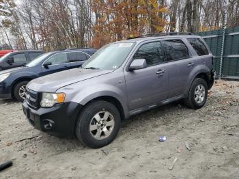  Salvage Ford Escape