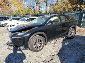  Salvage Lexus NX