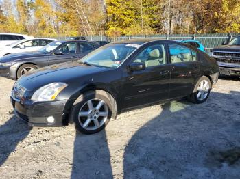  Salvage Nissan Maxima