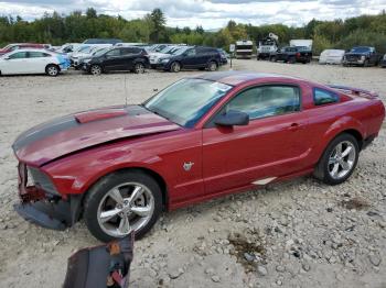  Salvage Ford Mustang