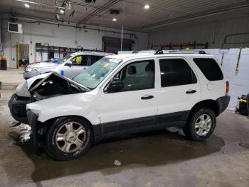  Salvage Ford Escape