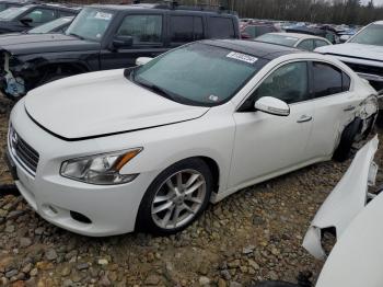  Salvage Nissan Maxima