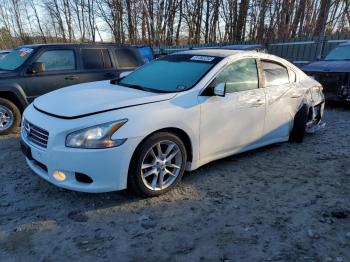  Salvage Nissan Maxima