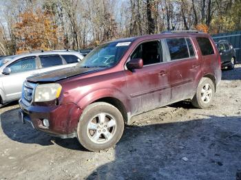  Salvage Honda Pilot