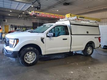  Salvage Ford F-150