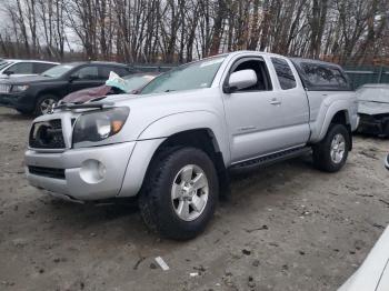  Salvage Toyota Tacoma