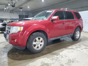  Salvage Ford Escape