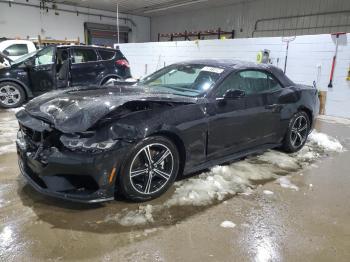  Salvage Ford Mustang