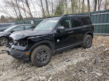  Salvage Ford Bronco