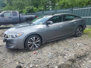  Salvage Nissan Maxima