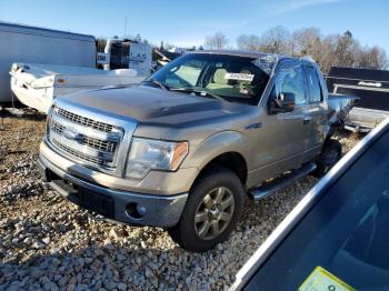  Salvage Ford F-150