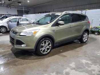  Salvage Ford Escape