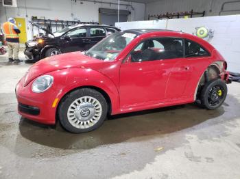  Salvage Volkswagen Beetle