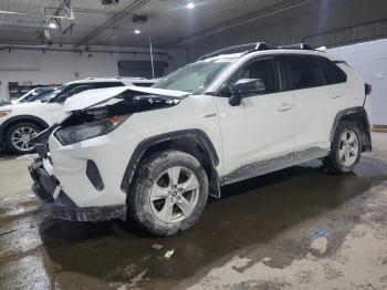  Salvage Toyota RAV4