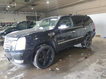  Salvage Cadillac Escalade