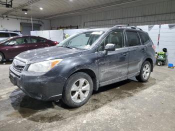  Salvage Subaru Forester