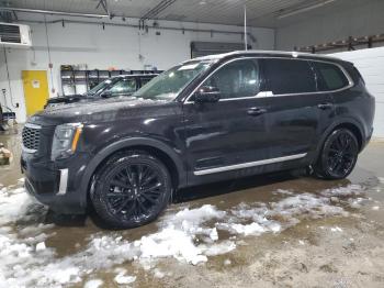  Salvage Kia Telluride