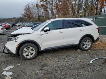  Salvage Kia Sorento