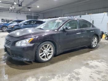  Salvage Nissan Maxima