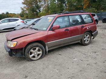  Salvage Subaru Forester