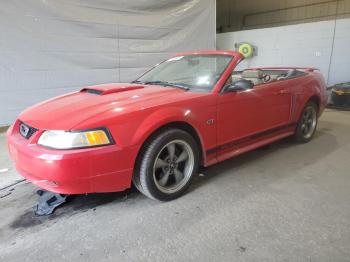  Salvage Ford Mustang