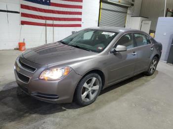  Salvage Chev Malibu