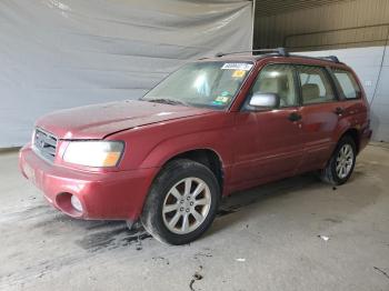  Salvage Subaru Forester