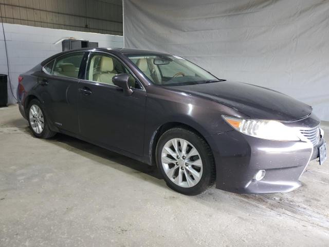 Lexus Es 300h Image 11