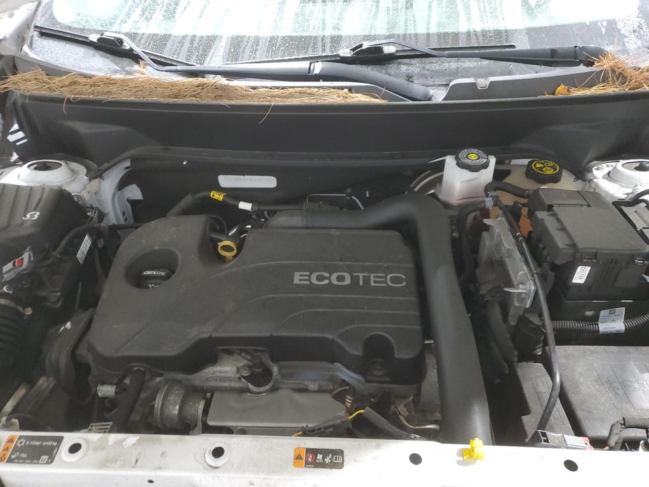 Chevrolet Equinox Ls Image 5