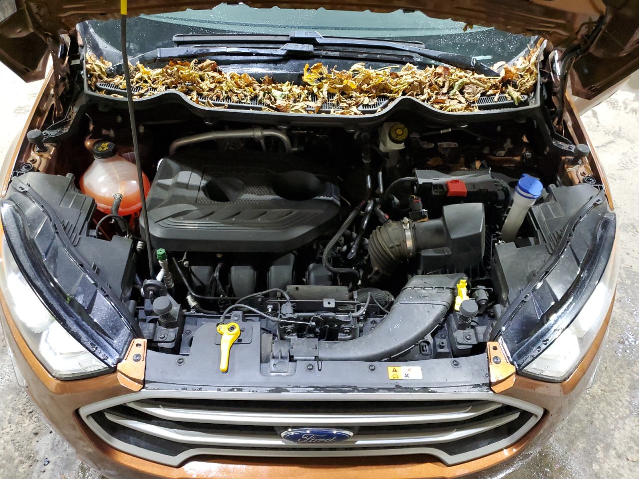 Ford EcoSport Se Image 7