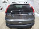 Honda Crv Exl Image 6