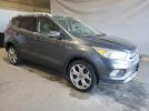 Ford Escape Titanium Image 13