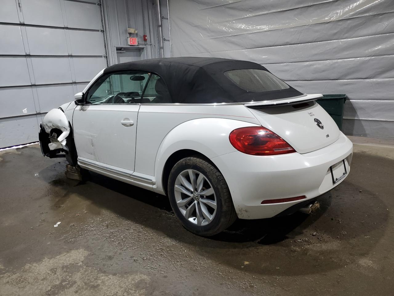 Volkswagen Beetle Image 6