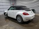 Volkswagen Beetle Image 6
