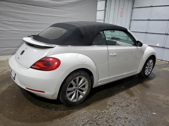 Volkswagen Beetle Image 5