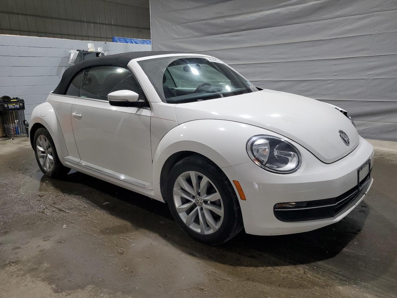 Volkswagen Beetle Image 8