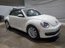 Volkswagen Beetle Image 8